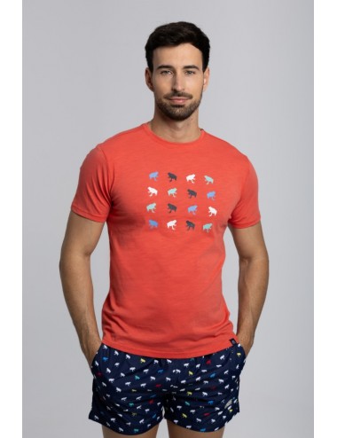 MOD. CAMISETA 51201 SERIE RANA